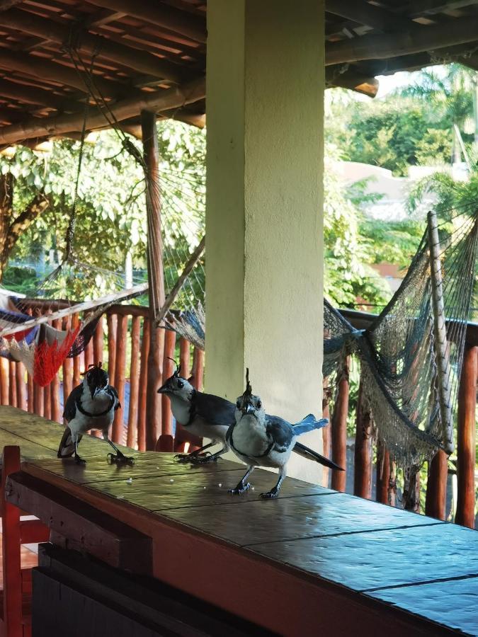 Hotel Georgi Cr Veintisiete de Abril 外观 照片