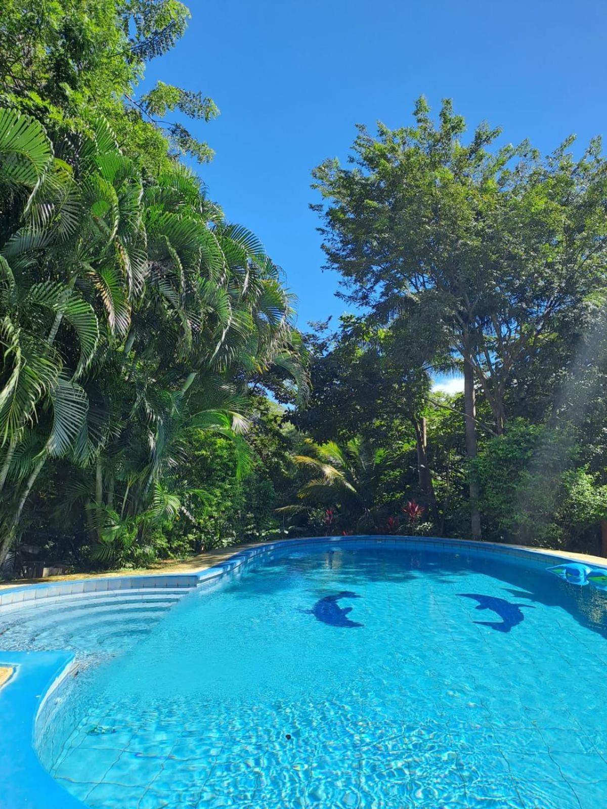 Hotel Georgi Cr Veintisiete de Abril 外观 照片